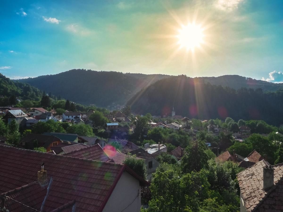 Гостевой дом Shard Boutique Hotel Брашов-14