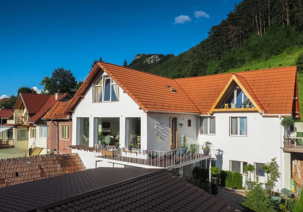 Гостевой дом Shard Boutique Hotel Брашов-21