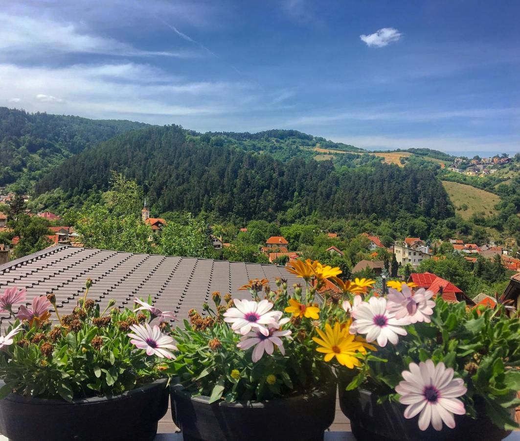 Гостевой дом Shard Boutique Hotel Брашов-33