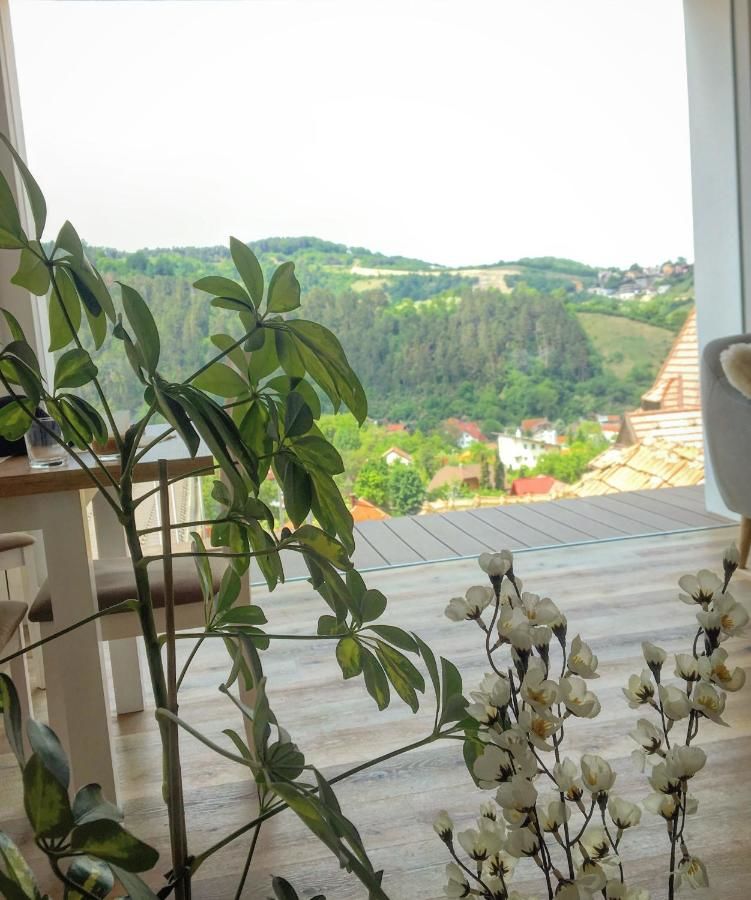 Гостевой дом Shard Boutique Hotel Брашов-34