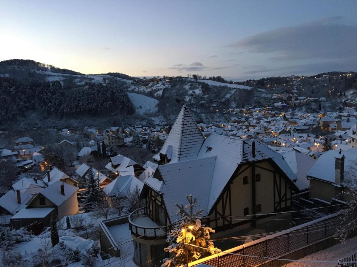 Гостевой дом Shard Boutique Hotel Брашов-47