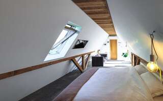 Гостевой дом Shard Boutique Hotel Брашов Двухместный номер Делюкс с 1 кроватью-6