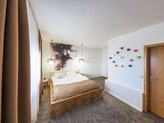 Гостевой дом Shard Boutique Hotel Брашов Двухместный номер Делюкс с 1 кроватью-8