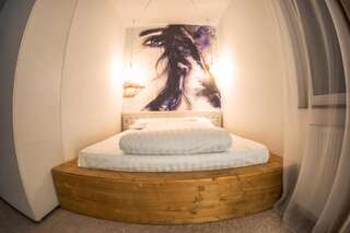 Гостевой дом Shard Boutique Hotel Брашов Двухместный номер Делюкс с 1 кроватью-17