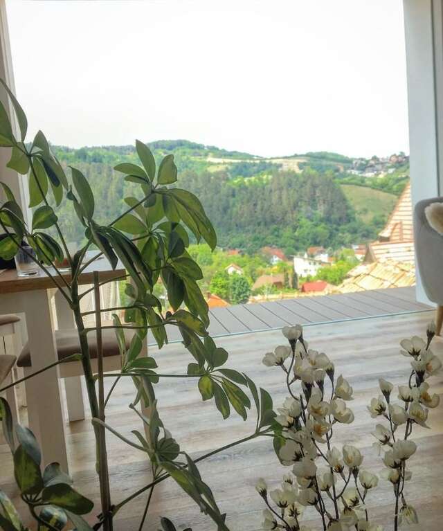 Гостевой дом Shard Boutique Hotel Брашов-33